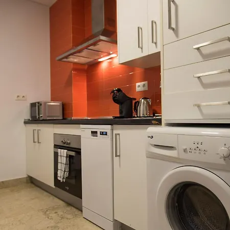 Free Parking Duplex Apartment Seville
